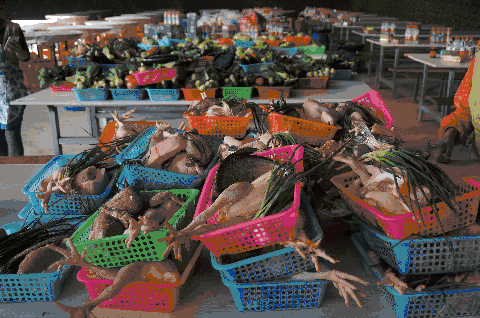 道：72个情绪价值营造标杆案例不朽情缘版旅游餐饮场景破局之(图37)