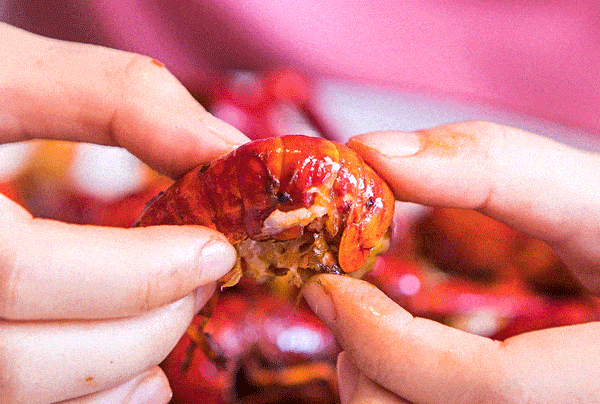 道：72个情绪价值营造标杆案例不朽情缘版旅游餐饮场景破局之(图75)