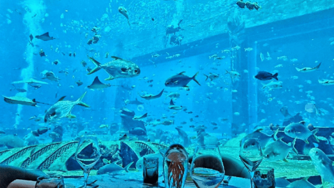 道：72个情绪价值营造标杆案例不朽情缘版旅游餐饮场景破局之(图87)