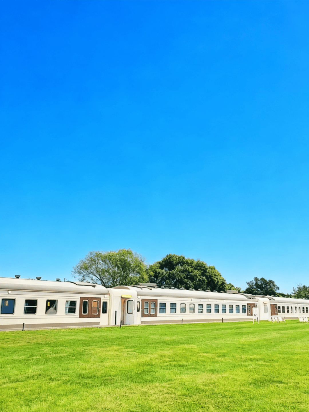 道：72个情绪价值营造标杆案例不朽情缘版旅游餐饮场景破局之(图86)